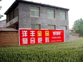 建水如何让墙体广告展现最大化效果