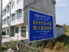 建水墙体广告质量分析
